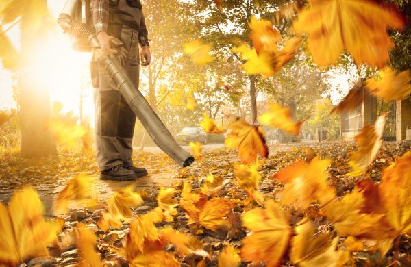 Leaf Blowing Service in Riverton