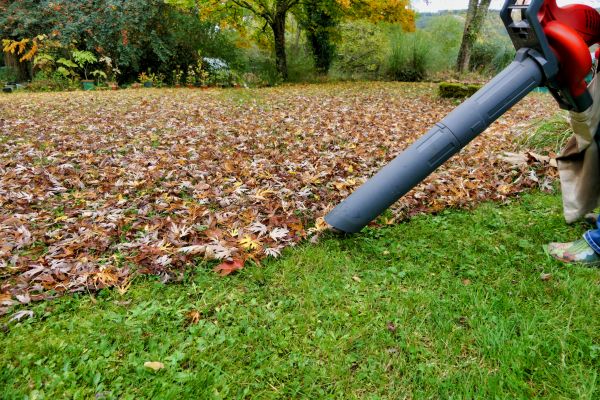 Leaf Vacuuming Service in Riverton