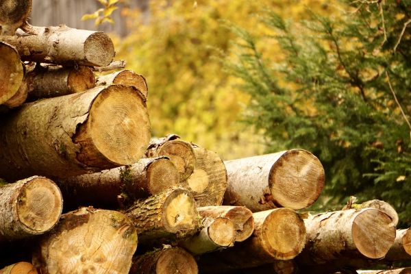 Wood Pile Removal in Riverton