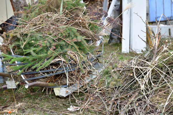 Yard Debris Removal in Riverton