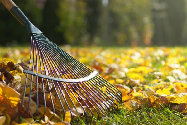 Leaf Raking Service in Riverton