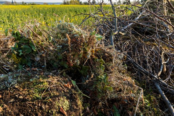 Brush Disposal in Riverton