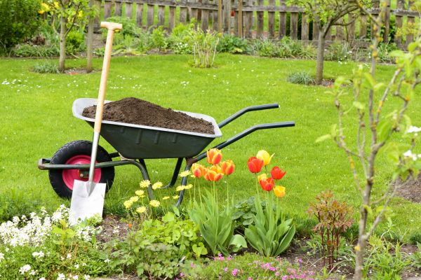 Cost of Spring Yard Cleanup in Riverton