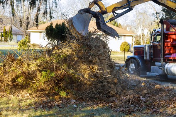 Storm Debris Removal in Riverton