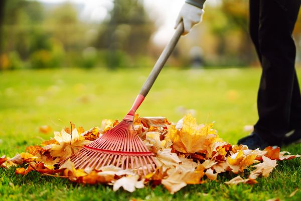 Cost of Ditch Leaf Removal in Riverton