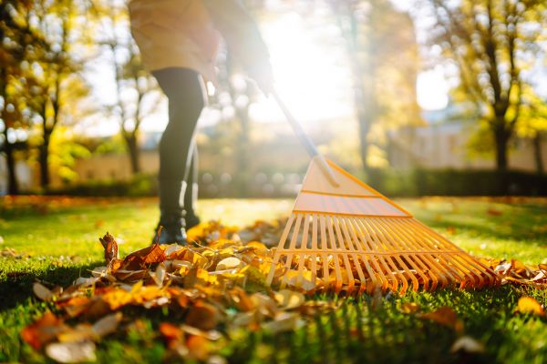 Leaves Raking in Riverton