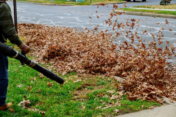 Cost of Garden Leaf Removal in Riverton