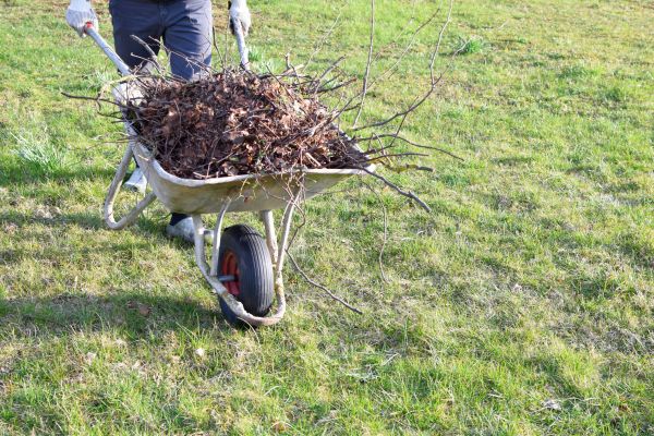Yard Brush Removal in Riverton