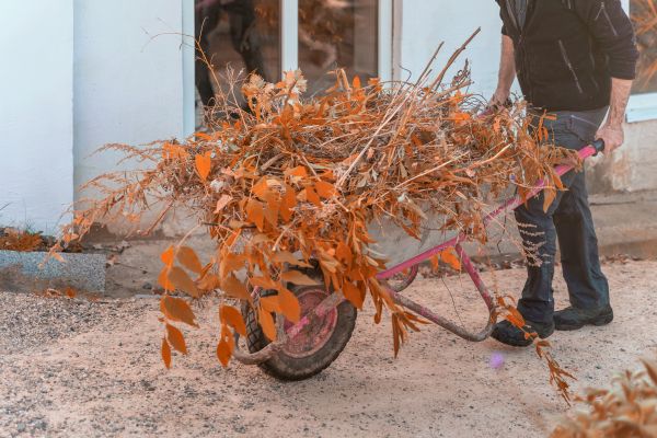 Cost of Lawn Debris Cleanup in Riverton