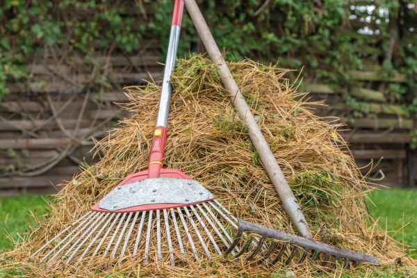 Cost of Pine Straw Clearing in Riverton