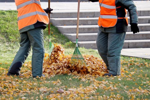 Cost of Leaf Hauling Service in Riverton