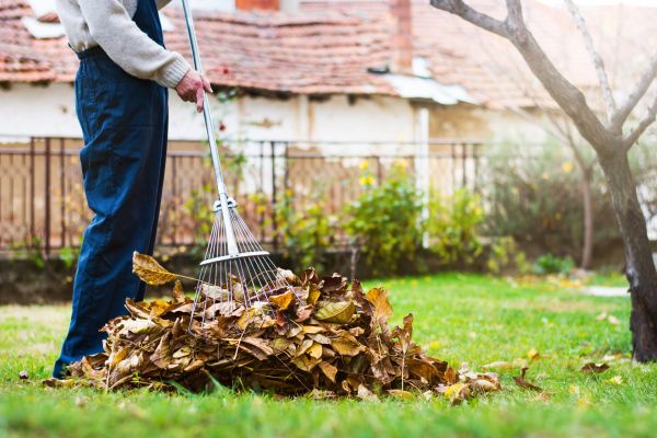 Spring Lawn Cleanup in Riverton