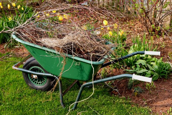 Lawn Waste Removal in Riverton