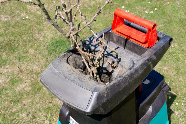 Cost of Brush Cleanup Service in Riverton