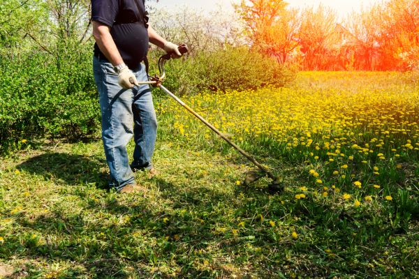 Cost of Yard Clearing Service in Riverton