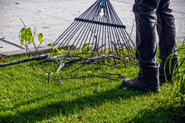 Yard Debris Cleanup in Riverton