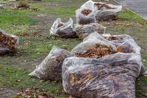 Cost of Leaf Pile Disposal in Riverton