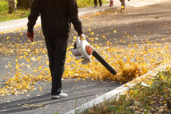 Commercial Leaf Removal in Riverton