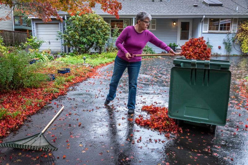 Clearing Debris from Lawn