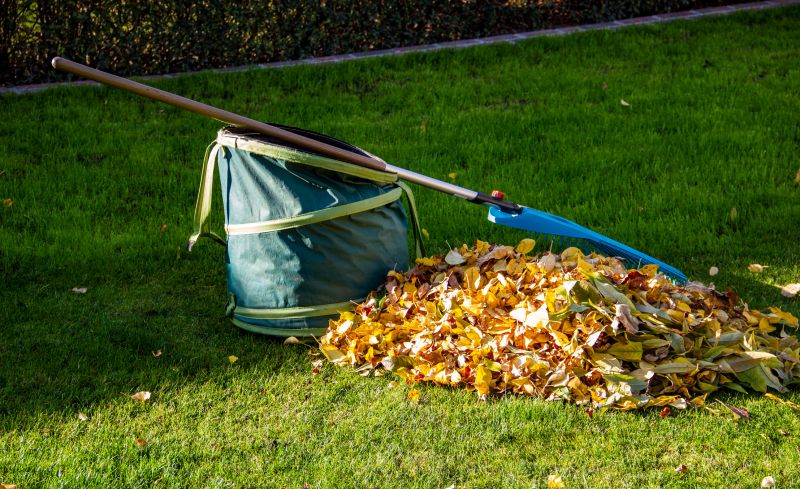 Bagged Leaves Ready for Disposal